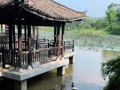 -老木棉·匠园