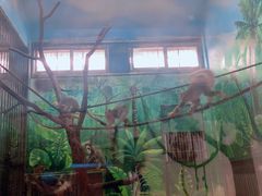 -西安秦岭野生动物园