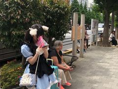 -秋叶原电器街
