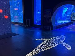 -顺德南宏海立方海洋公园
