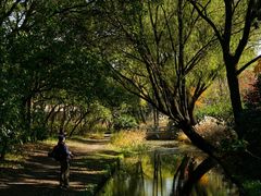 -上海共青森林公园