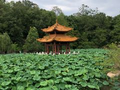 -富乐山