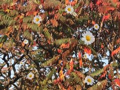 -滨河世纪广场公园