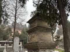 -兴教寺