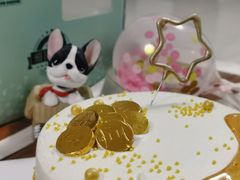 -维尔纳斯·生日蛋糕·动物奶油冰淇淋蛋糕(六里桥店)