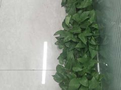 -新航道雅思托福·留学·考研培训(人民广场校区)