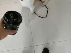 -BLATAGE COFFEE