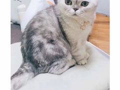 -猫音日语留学培训