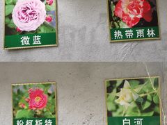 -南阳府衙