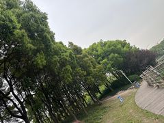 -美兰湖景区
