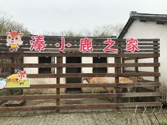 -溱湖国家湿地公园