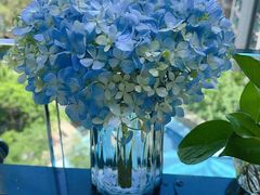 -松赞拉萨林卡酒店