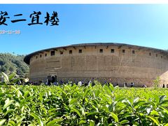 -福建土楼（华安）旅游区•大地土楼群