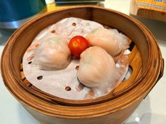 -新兴·金羊座·粤菜点心(乐峰店)