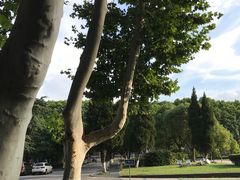 -南京航空航天大学(明故宫校区)