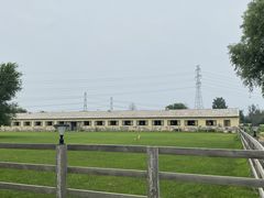 -北京群众马术培训基地