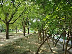 -元大都城垣遗址公园