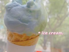 -Dal Cuore 达可芮冰淇淋(陕西北路店)