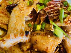 椒麻金钱肚-小吊梨汤·北京菜(香山店)