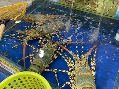-东江海鲜酒家(艺都分店)