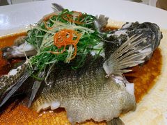 -维园悦谱·海派家常菜(乌鲁木齐南路店)