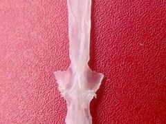 -老财土菜馆·砂锅雅鱼(廊桥店)