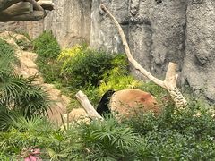 -石排湾郊野公园