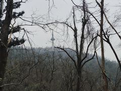 -岳麓山风景名胜区