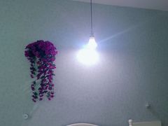 -昭通鹏腾快捷酒店(望海公园店)