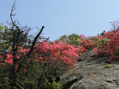 -木兰云雾山