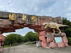 -上海海湾国家森林公园