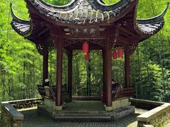 -仙霞关景区