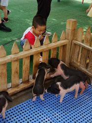 -萌宠亲子动物乐园(槐房万达店)