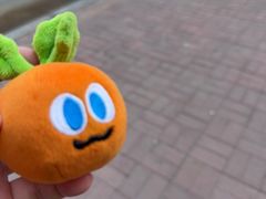-知一馨香熏肉大饼(抚顺石化大学店)