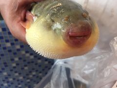 -大方圆酒楼(西门大街店)
