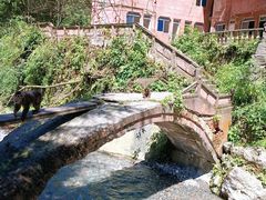 -西岭雪山大飞水景区