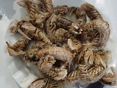 -北戴河庆山饭店·海鲜砂锅粥(北戴河黑石路店)