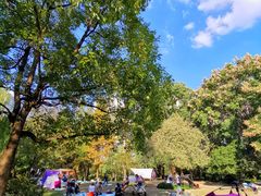 -苏州河梦清园环保主题公园