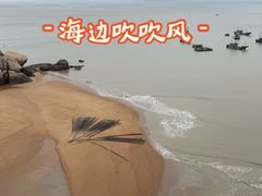 -大京沙滩