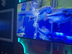 -F·OK  KTV(白土坝店)