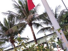 -深圳湾公园(南山区)