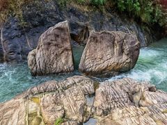 -广州白江湖森林公园