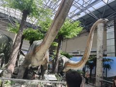 -国家自然博物馆