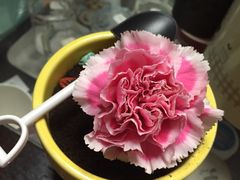 -城一锅涮烤羊蝎子·烤串