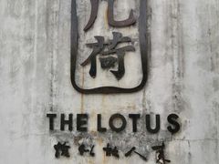 -几荷·恰似故人来(秀水广场店)