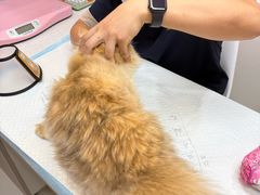 -御宝贝24h宠物医院·转诊中心·CT核磁血透中心(厦门总院)