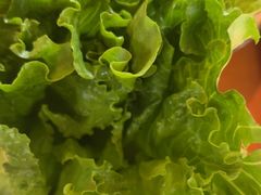 -老员外骨汤火锅(海州古城店)