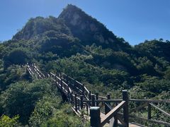 -大岭沟猕猴桃谷风景区
