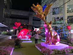 -暹罗广场