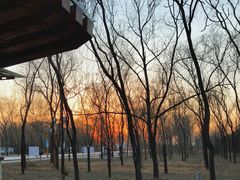 -野鸭湖国家湿地公园